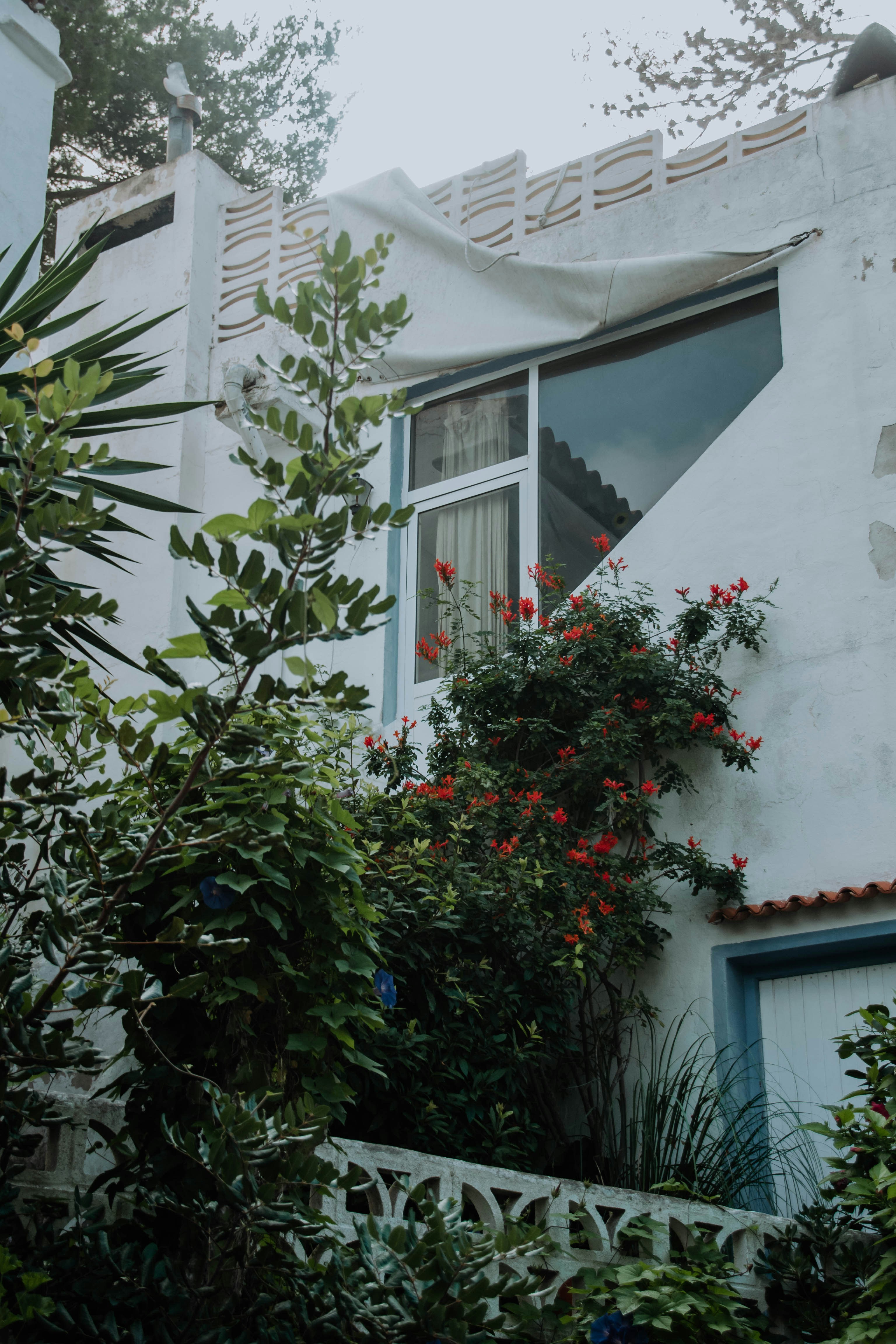 Photo by julialavendel