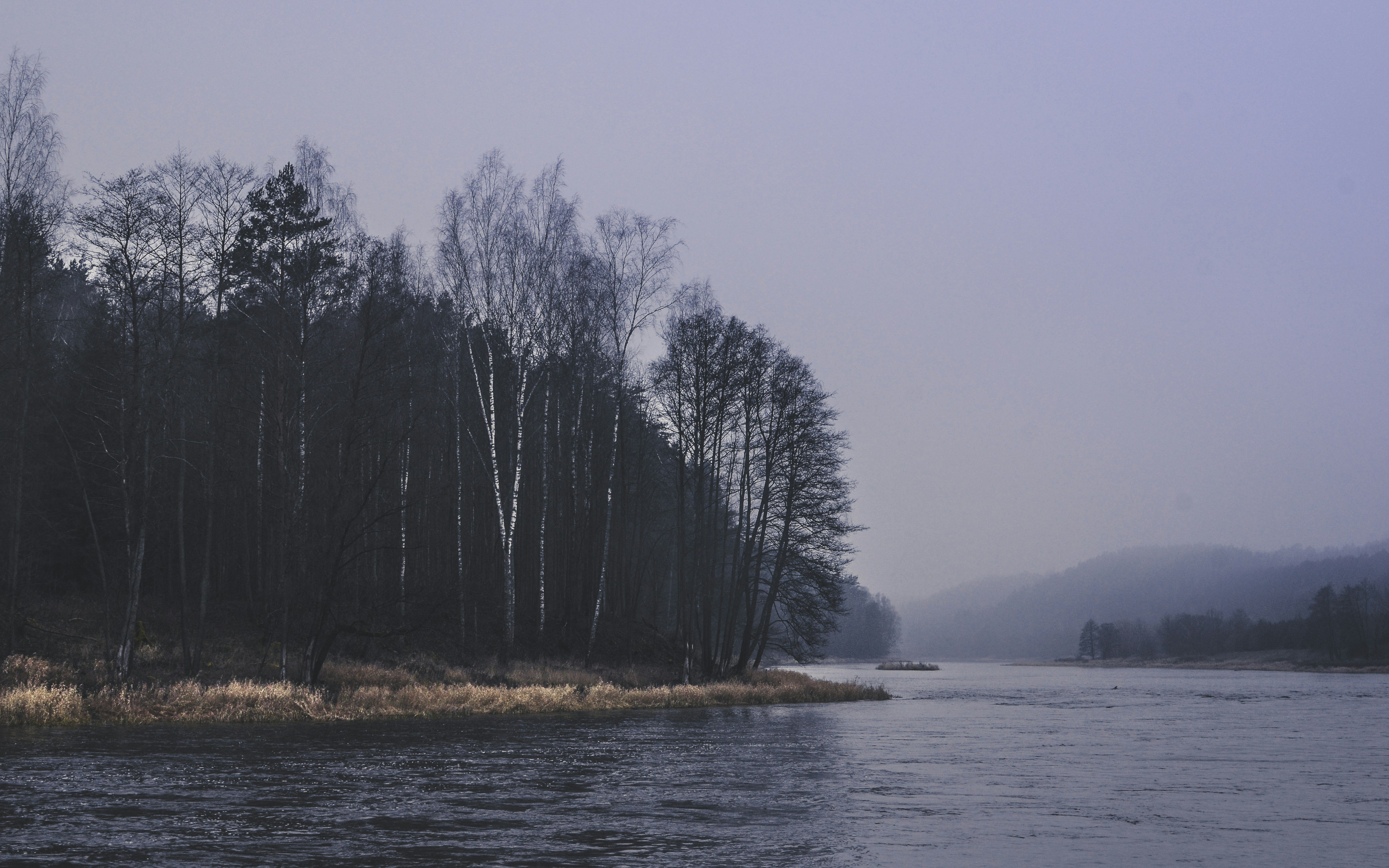 Photo by sarunesed