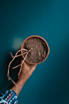 person holding brown round metal