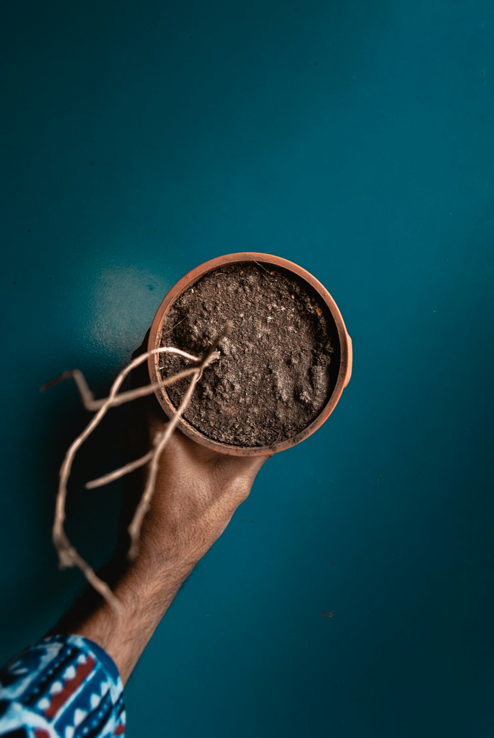 person holding brown round metal