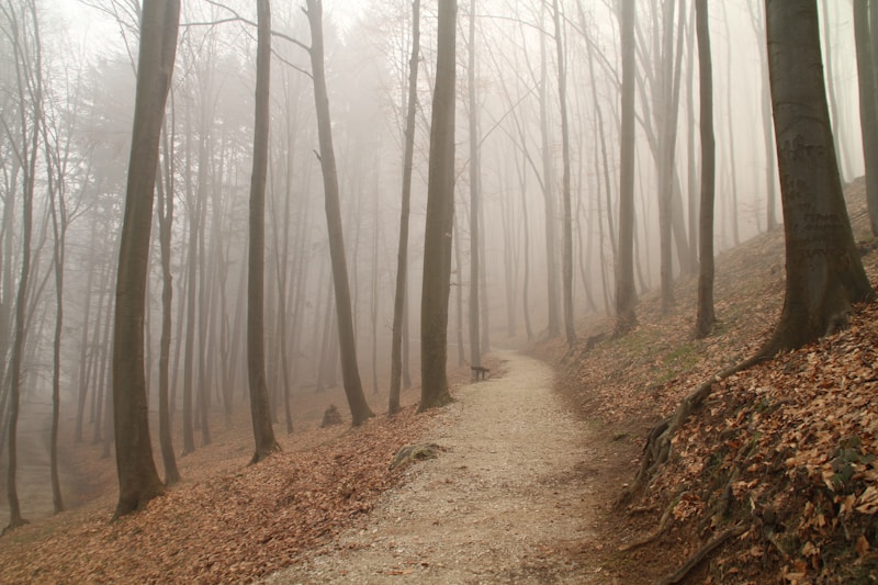 Vranjska Banja