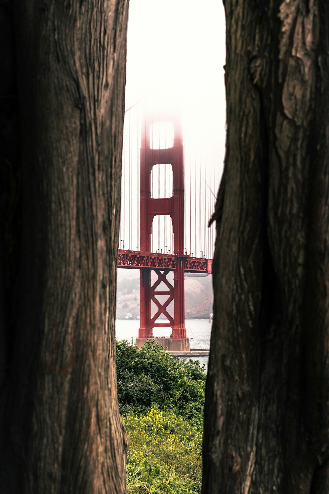 red bridge over the river