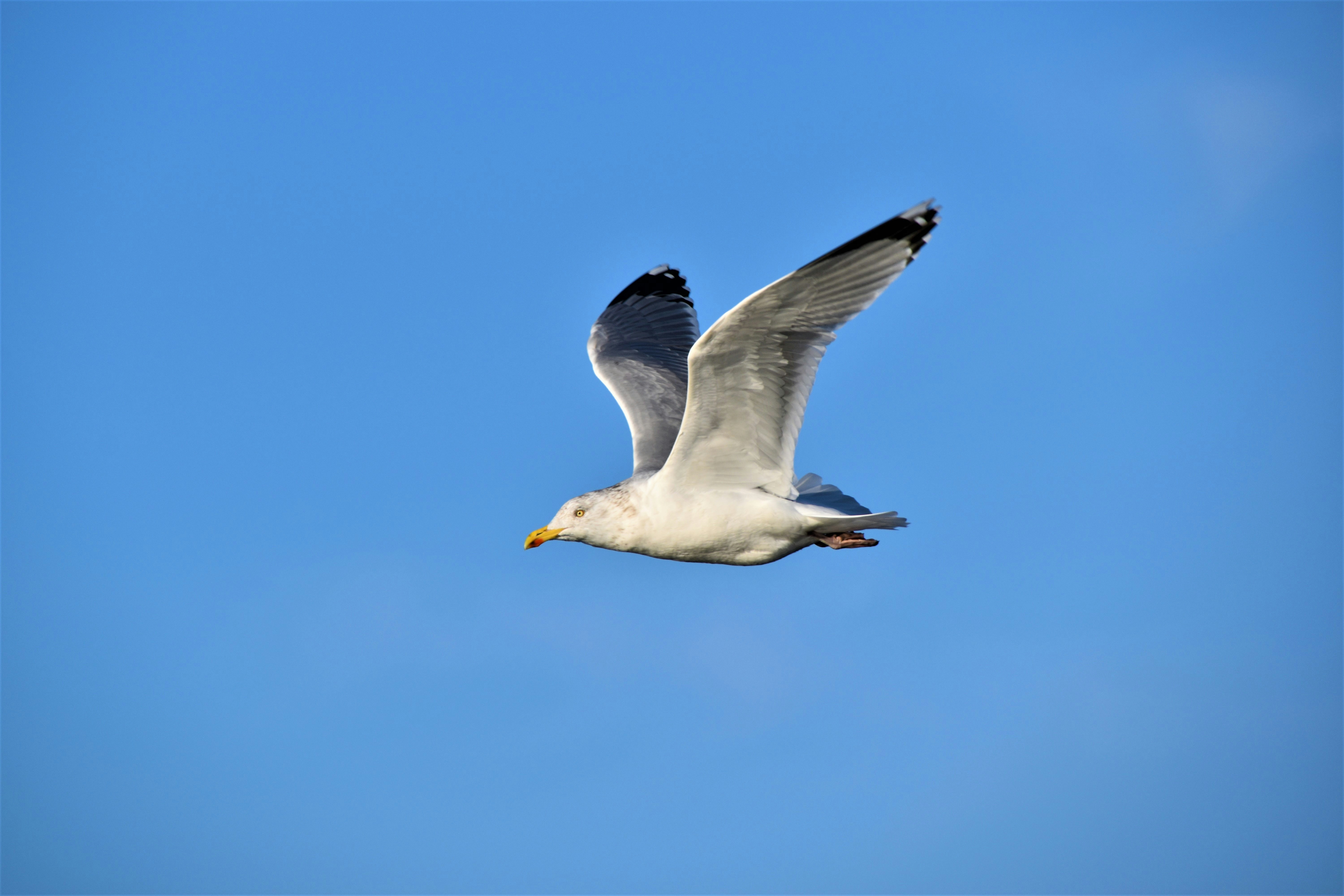 Photo by waldemarbrandt67w