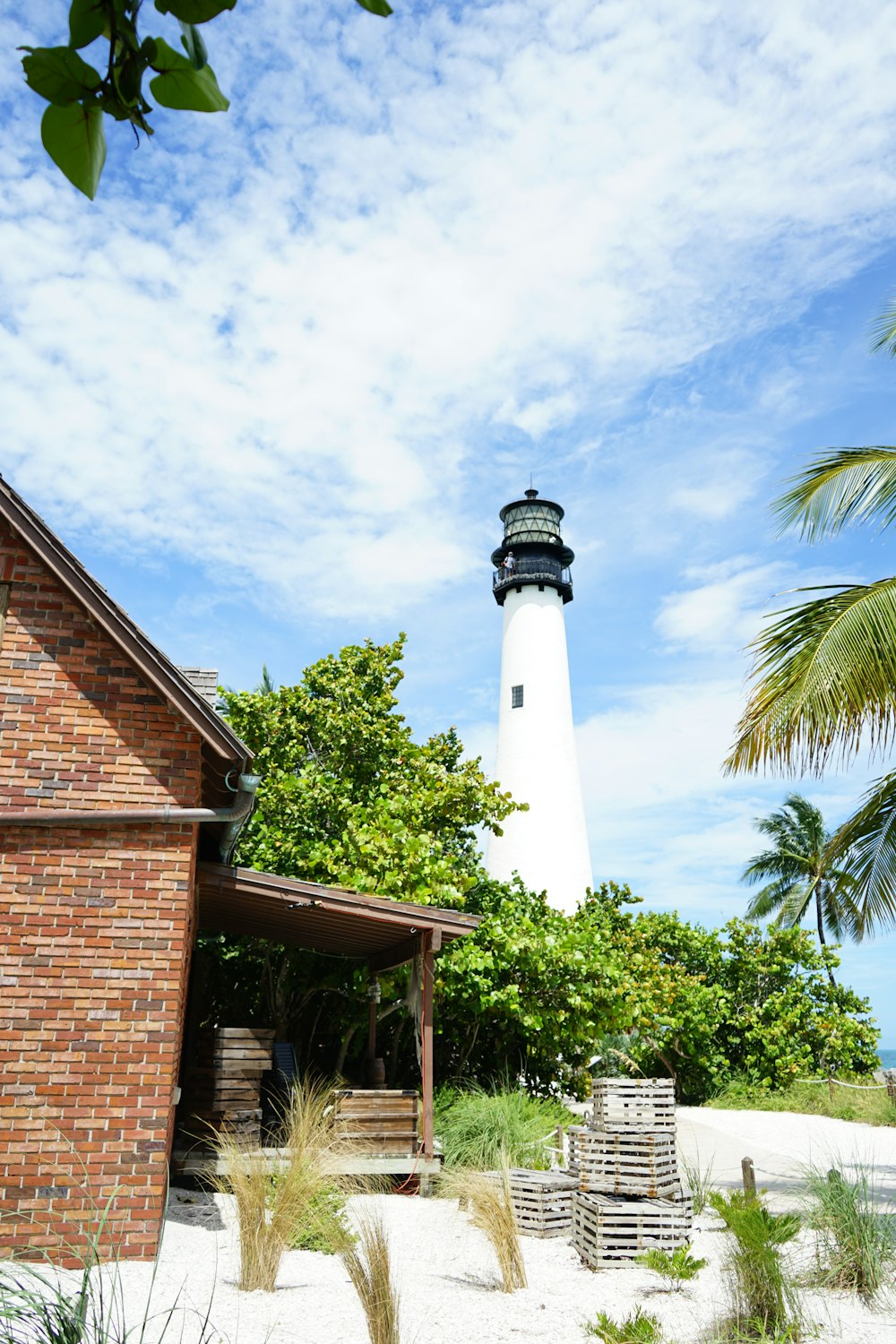 brown and white concrete lighthouse near green palm tree under blue sky during daytime