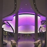 A clean white space with neon purple accents highlighting harassment-protection features on Settle Loan.