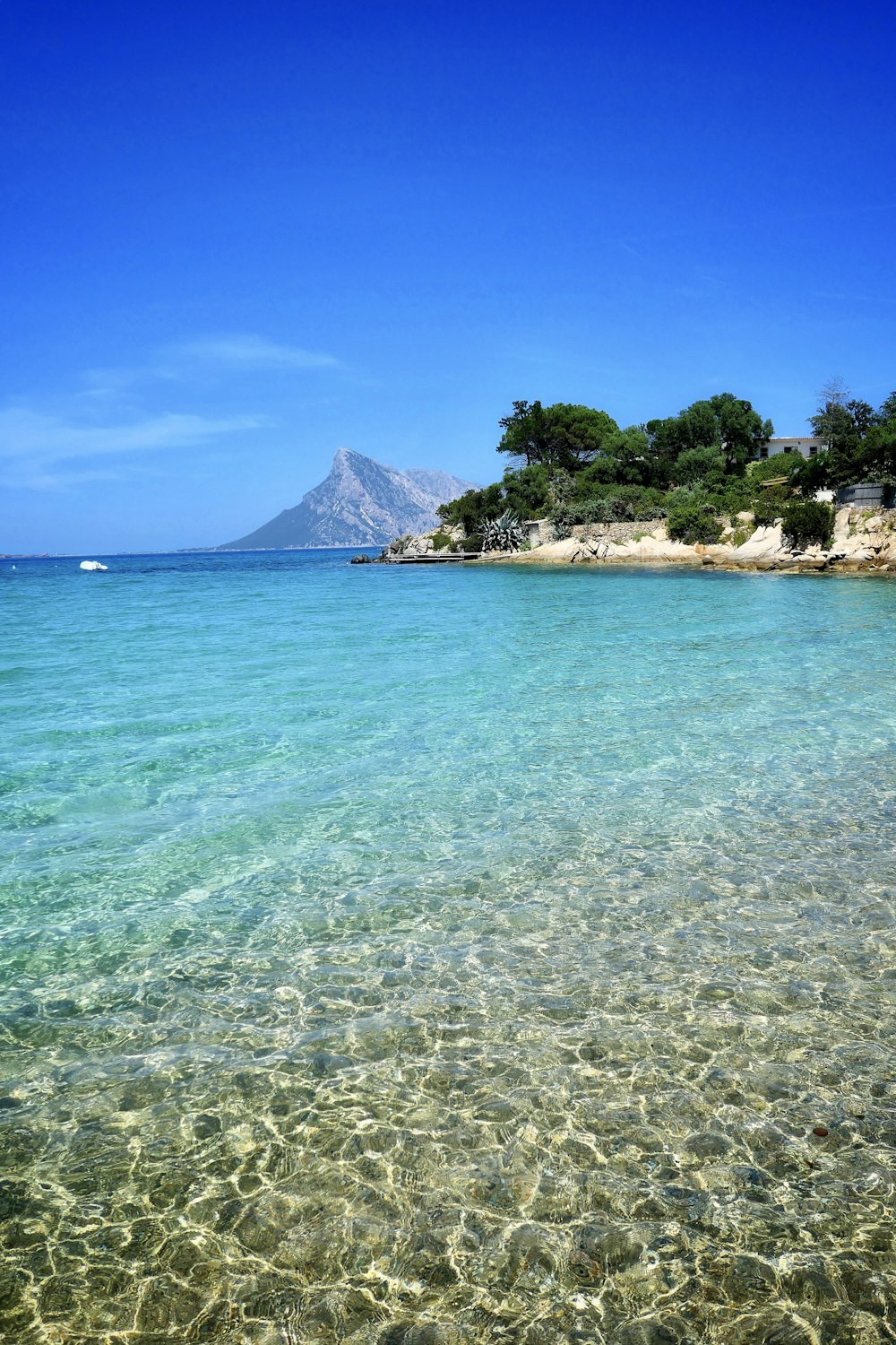 green trees on island surrounded by water during daytime