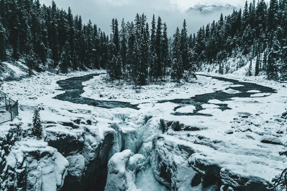 a frozen waterfall in the middle of a forest