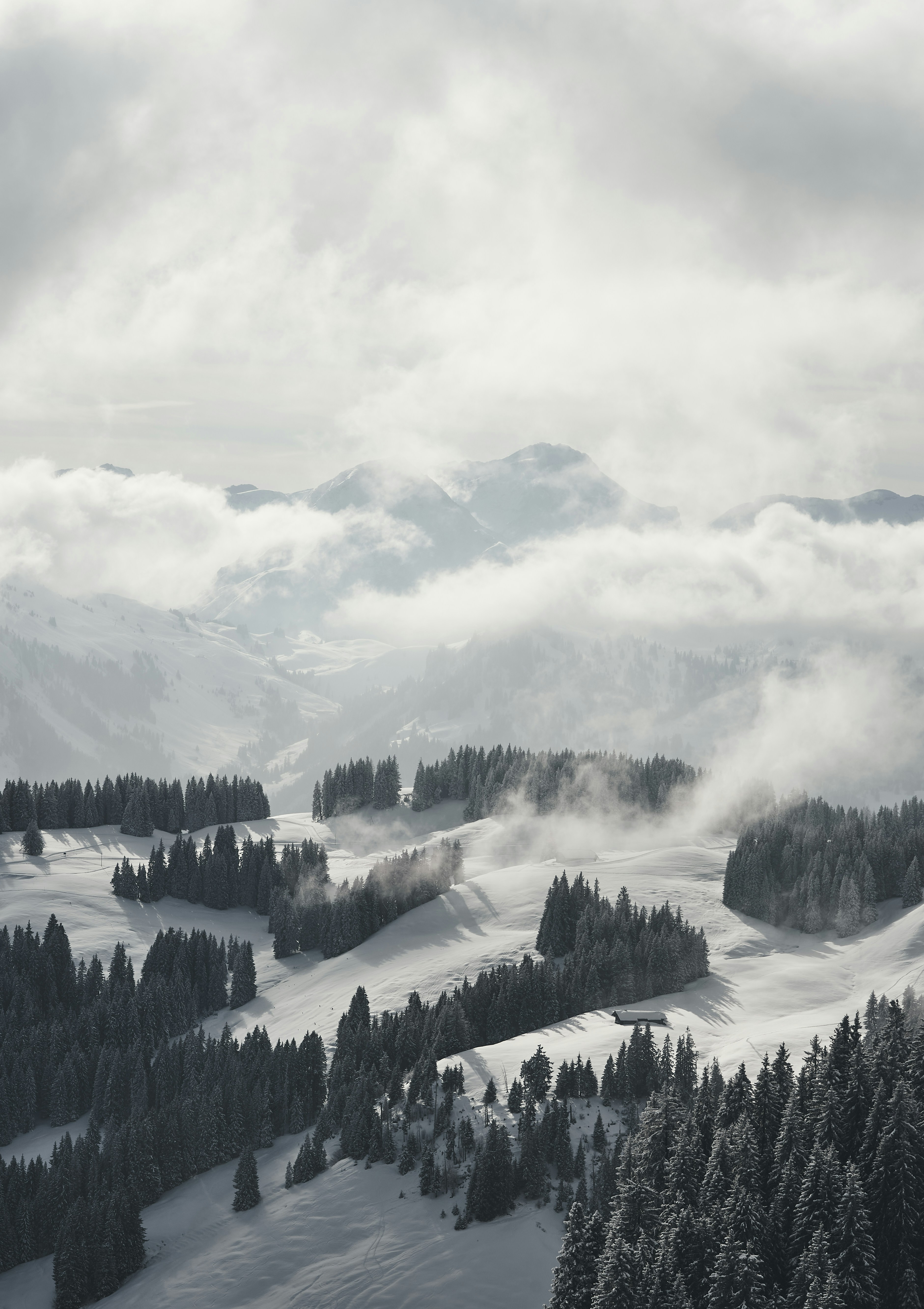 Photo by cinquantesix