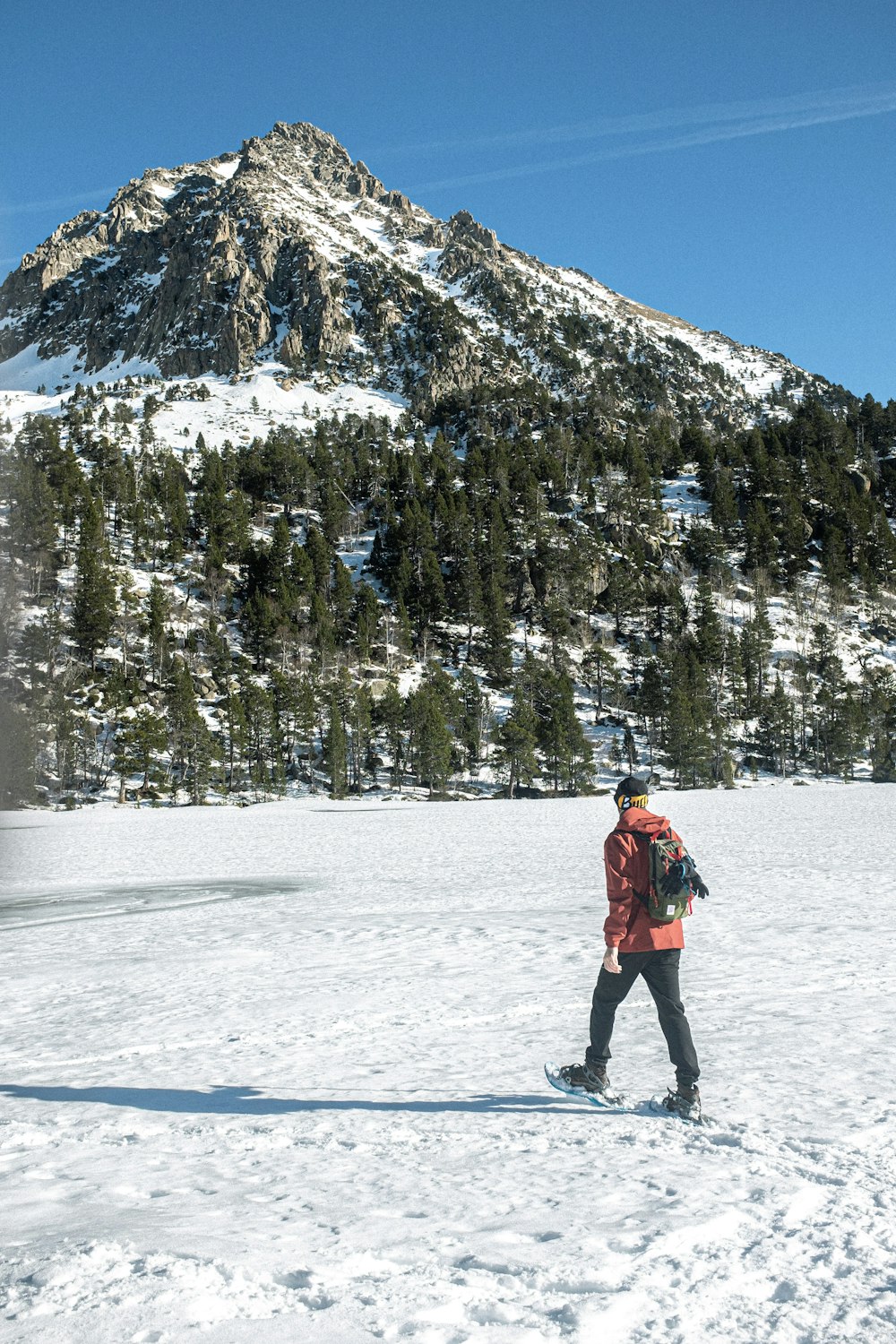 Person in roter Jacke und schwarzer Hose, die auf schneebedecktem Boden in der Nähe von grünen Bäumen steht und
