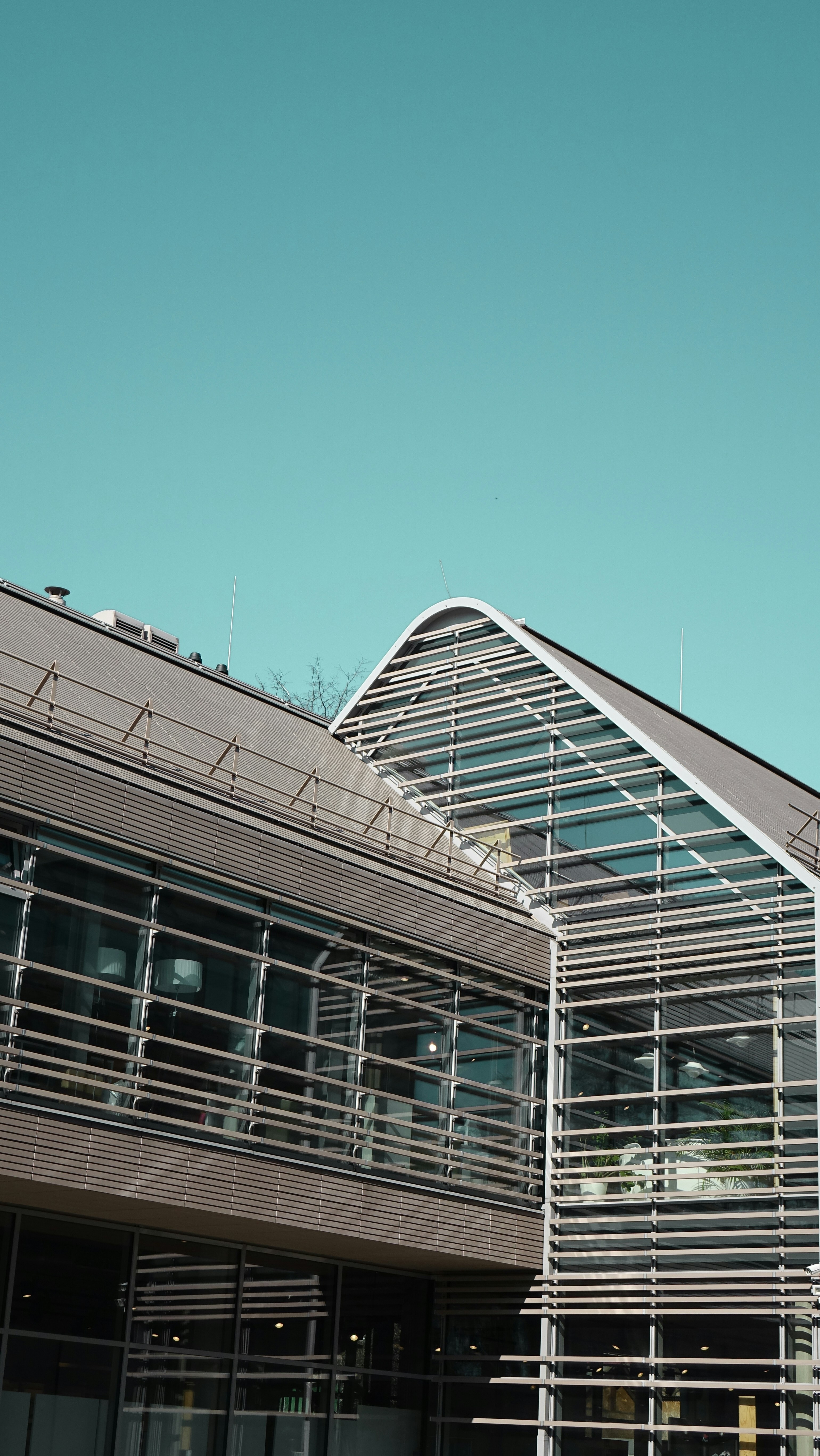 Photo by kazkurgirdetas