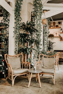 A cozy seating area with plants and art decor.