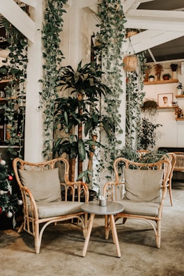 A cozy seating nook with mismatched chairs, soft cushions, and hanging greenery.