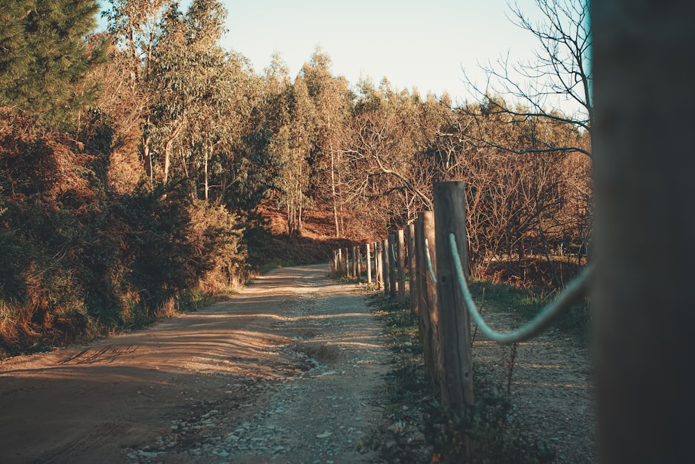 a dirt road surrounded by trees and a fence
