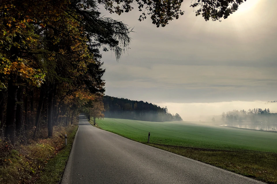 The image depicts a serene autumnal scene on an asphalt road that cuts through a lush, green field. The road is flanked by tall trees with vibrant orange and yellow leaves, creating a beautiful contrast against the clear blue sky above. The perspective of the photo is from the side of the road, looking towards the horizon where the road meets the line of trees in the distance.

The field is covered in grass that has turned a light brown color due to the changing seasons, and there are small hills scattered throughout the landscape. The sun shines brightly overhead, casting long shadows on the ground and highlighting the colors of the autumn leaves.