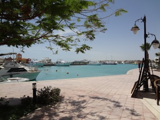 people on beach during daytime