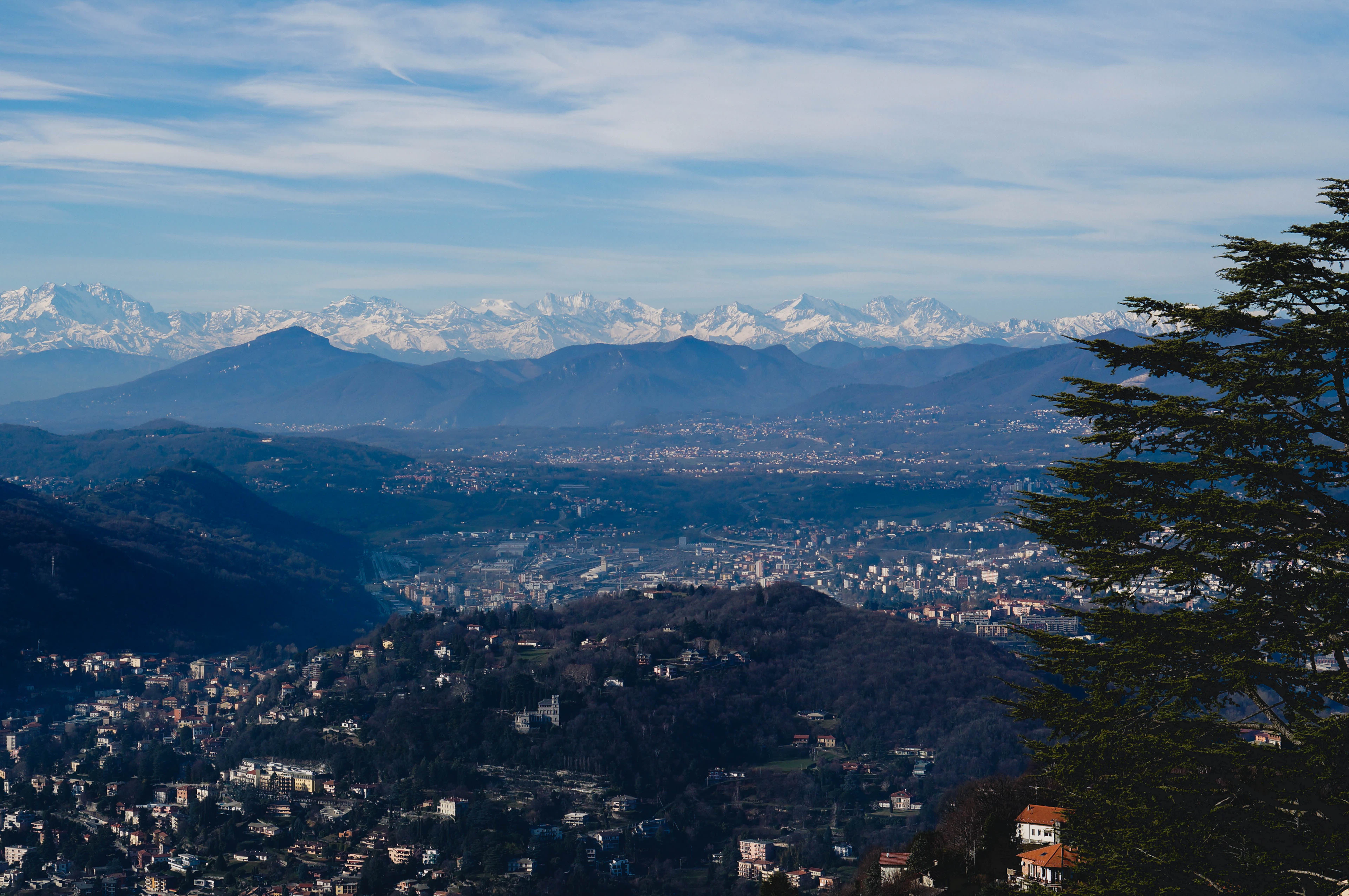 The view from Brunate high above Como, looking down over the wooded ridges and the rooftops of the town in its basin, with the snow-covered wall of the Alps stretching along the far horizon and a cedar branch framing the right edge.