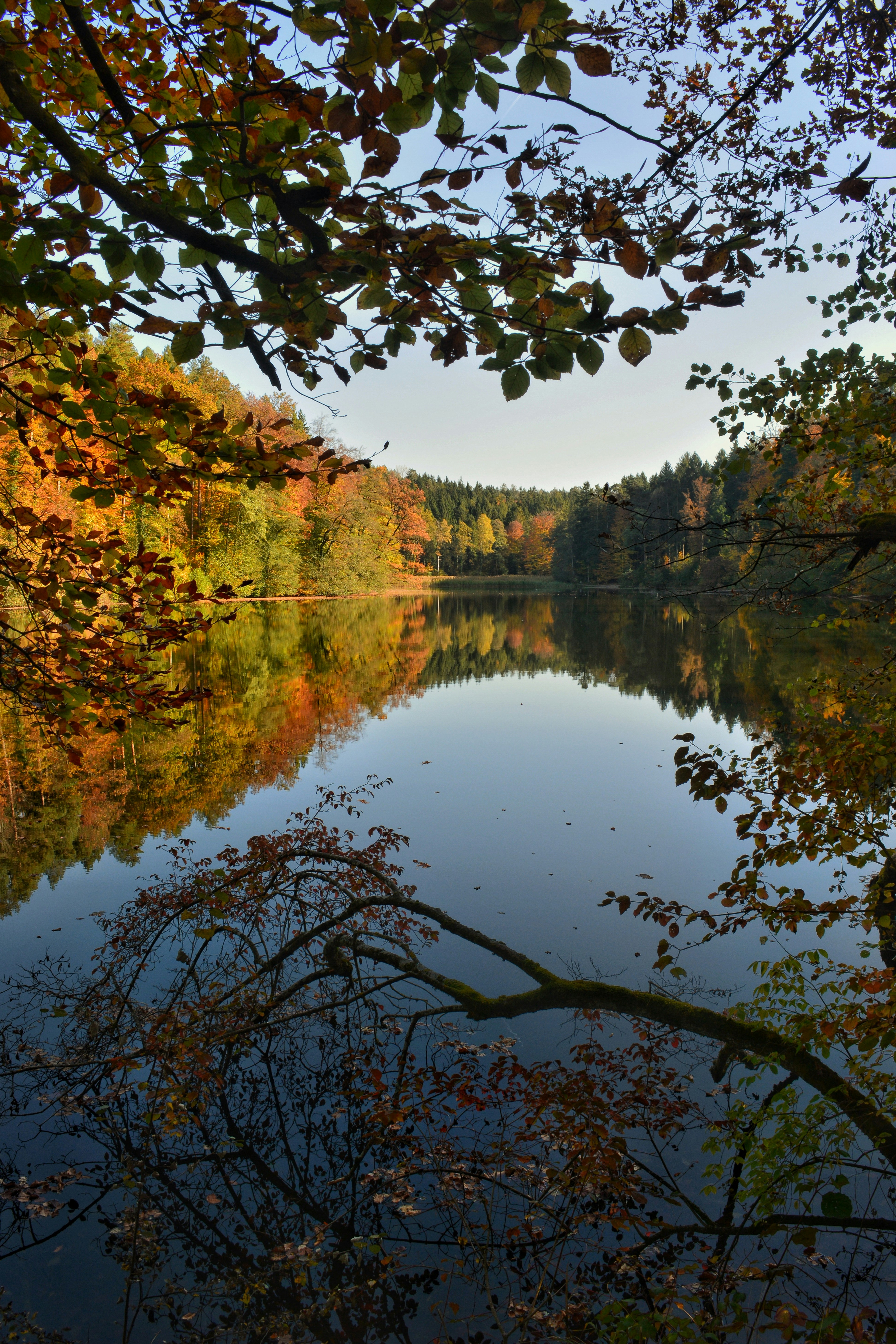 Photo by pedrino5_official