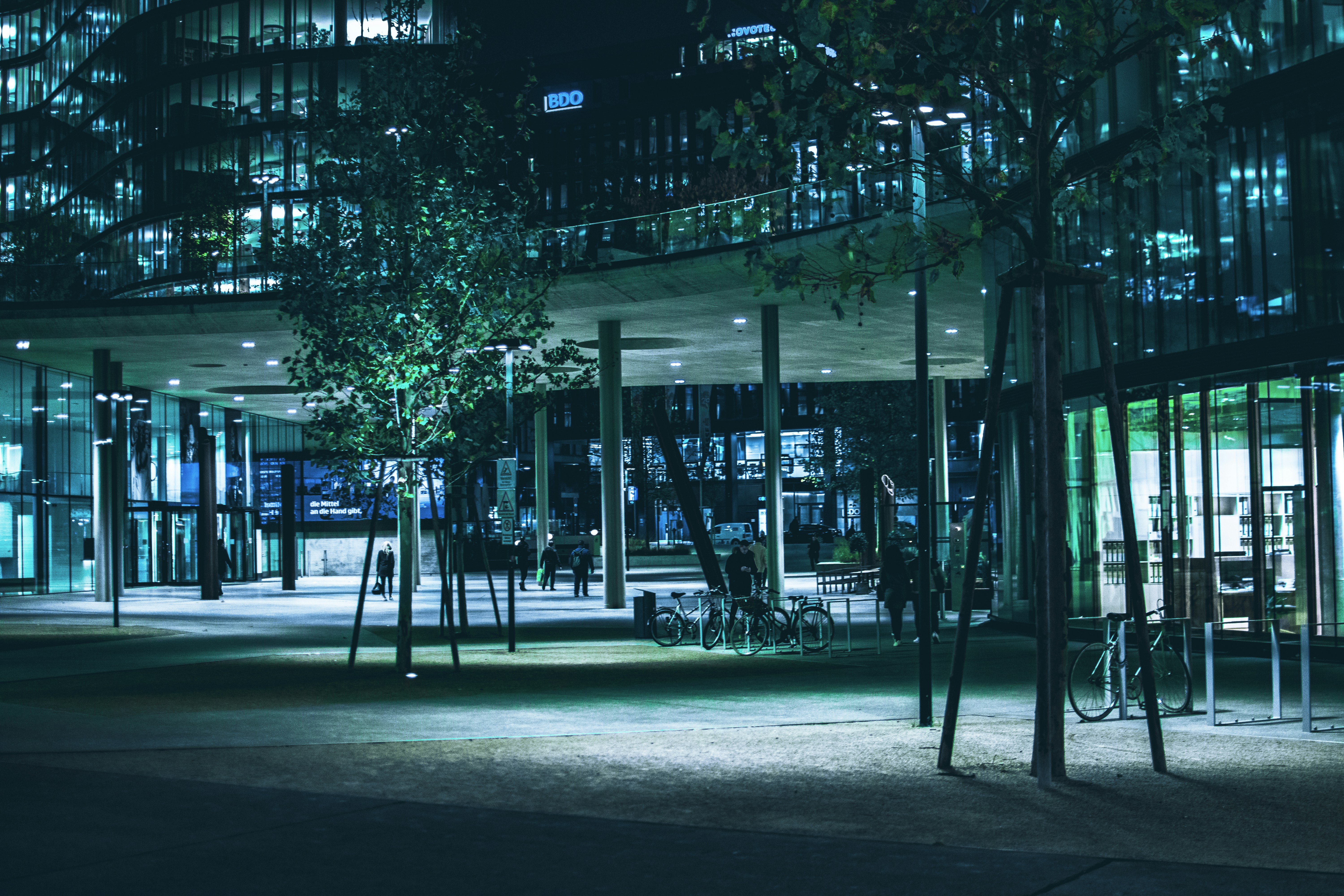 grayscale photo of trees near building