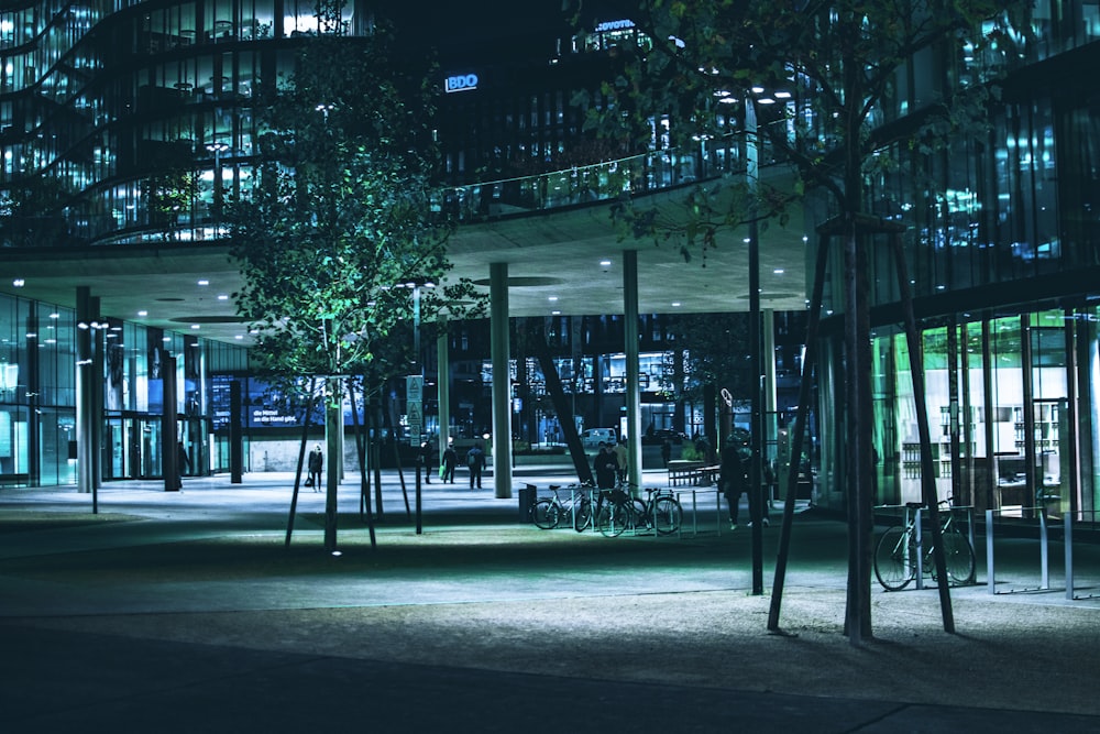 grayscale photo of trees near building