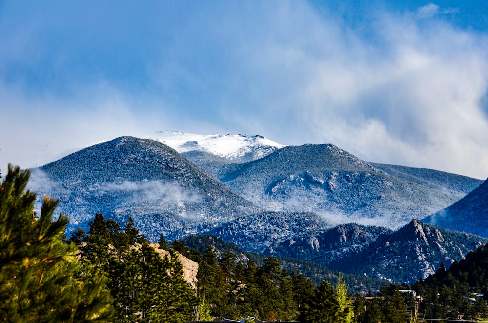 green trees near snow covered mountain during daytime