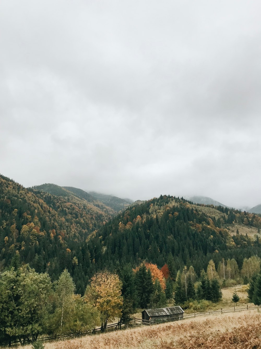 green and brown trees on mountain under white clouds during daytime