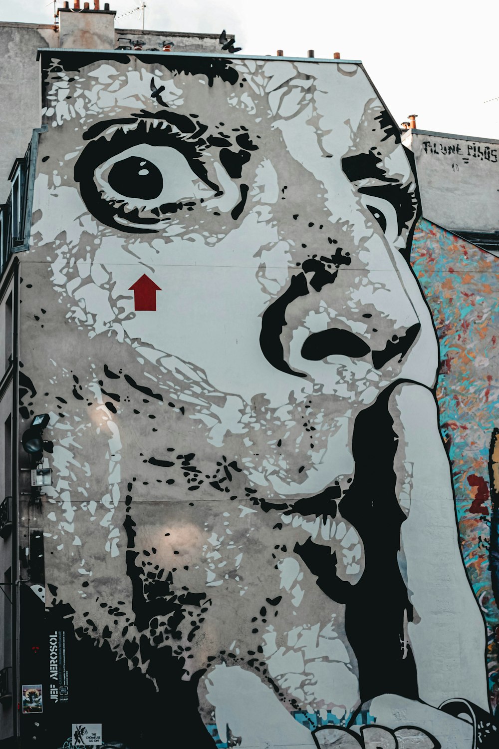 a large painting of a man's face on the side of a building