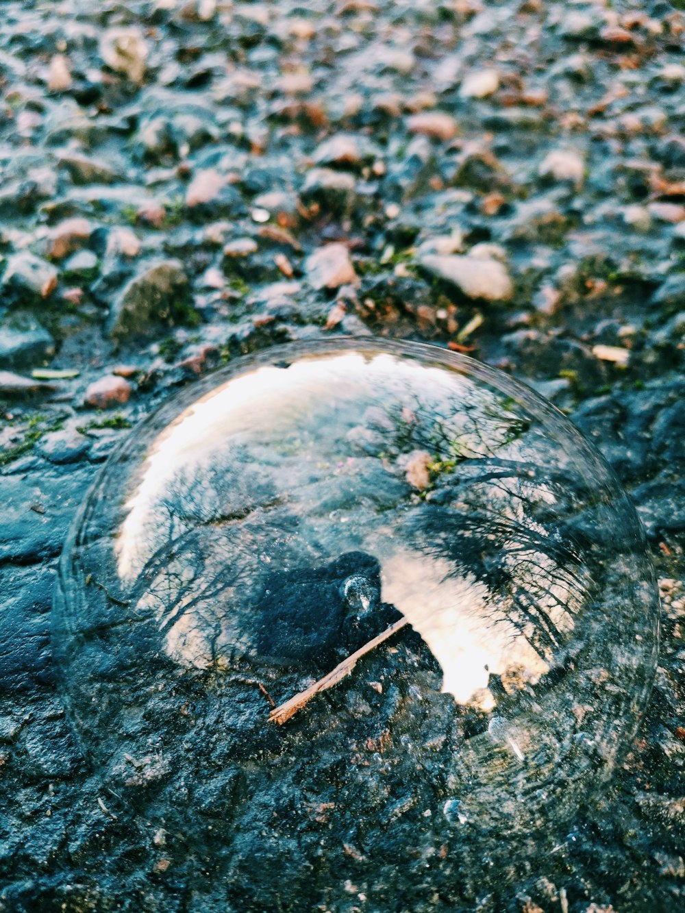 clear bubble on black and gray soil