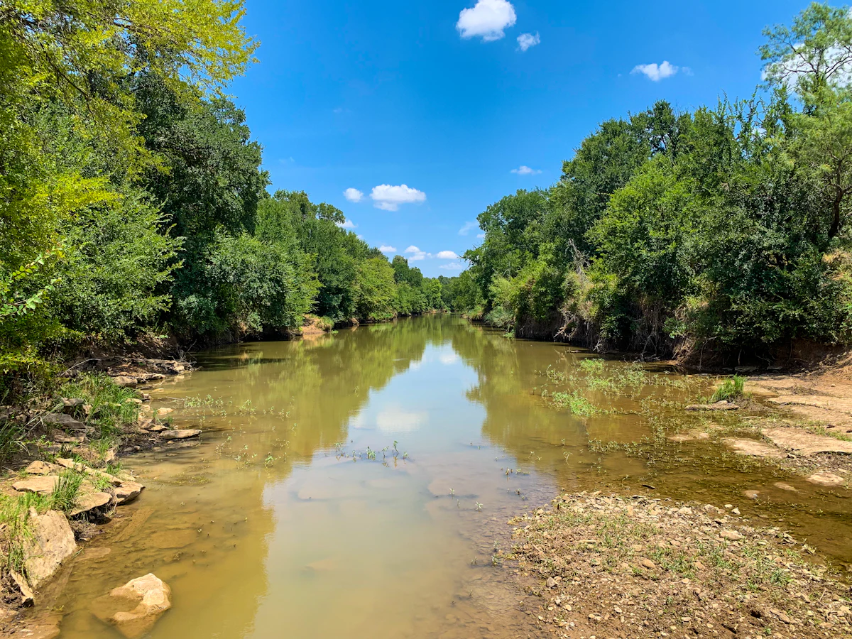 Still green water of the Rio Grande valley