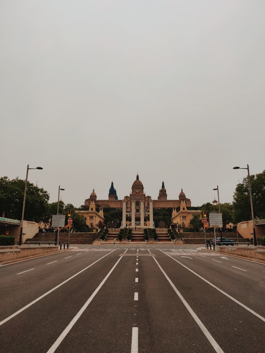 brown concrete building near road during daytime in Museu Nacional d'Art de Catalunya Spain