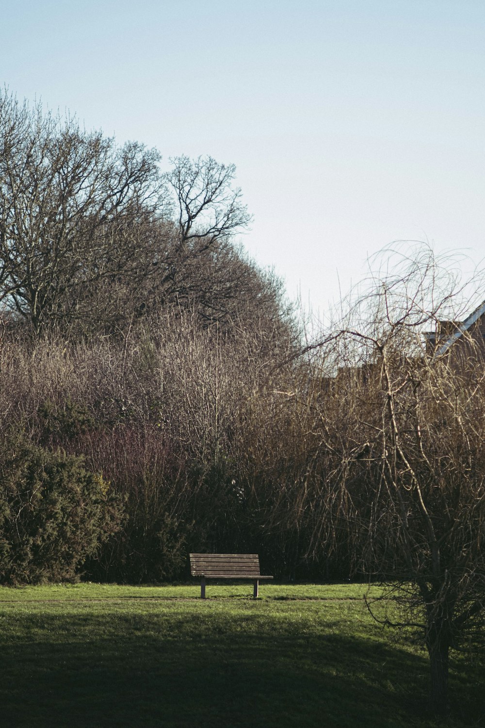 a park bench sitting in the middle of a field