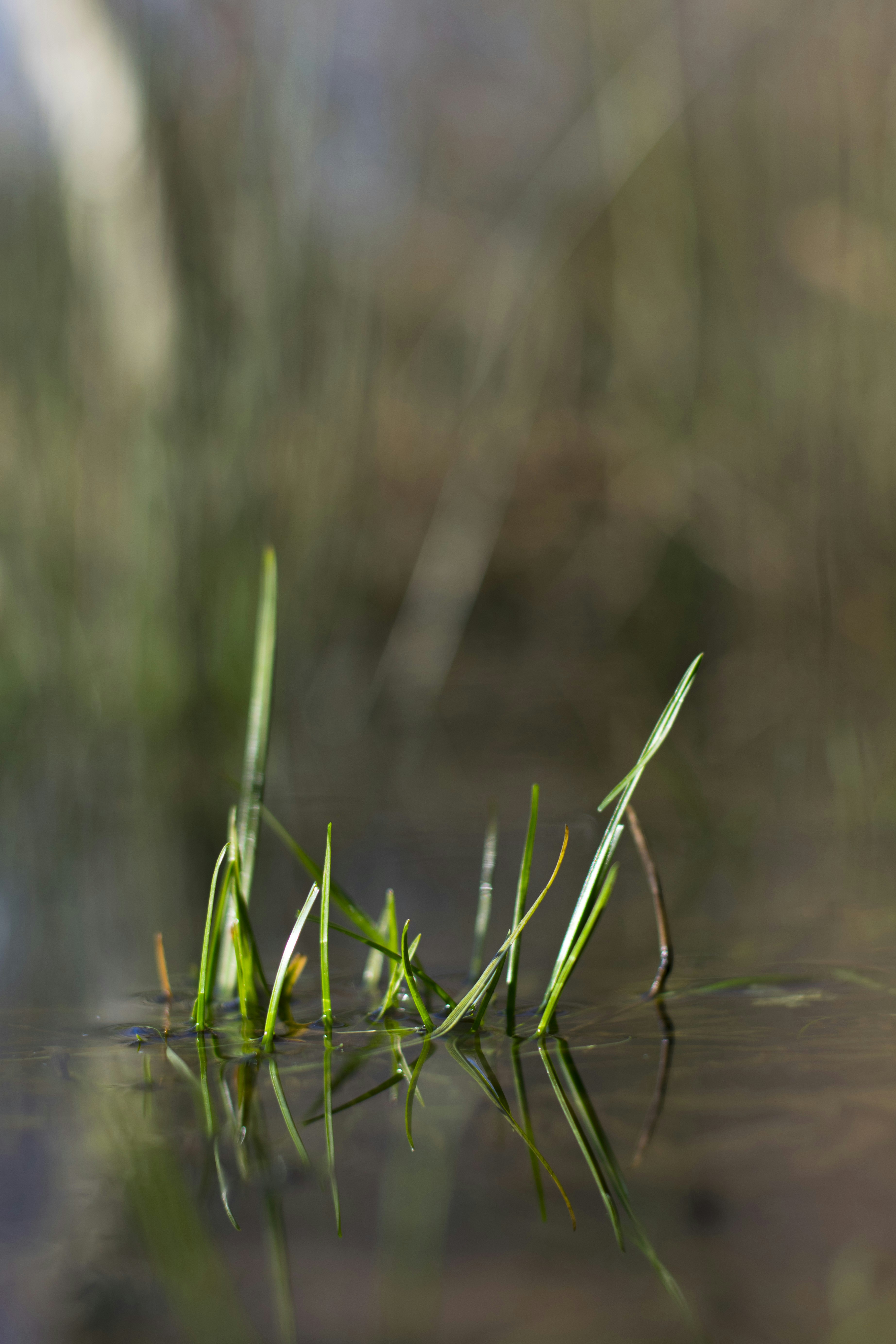 Photo by itsrobcoates