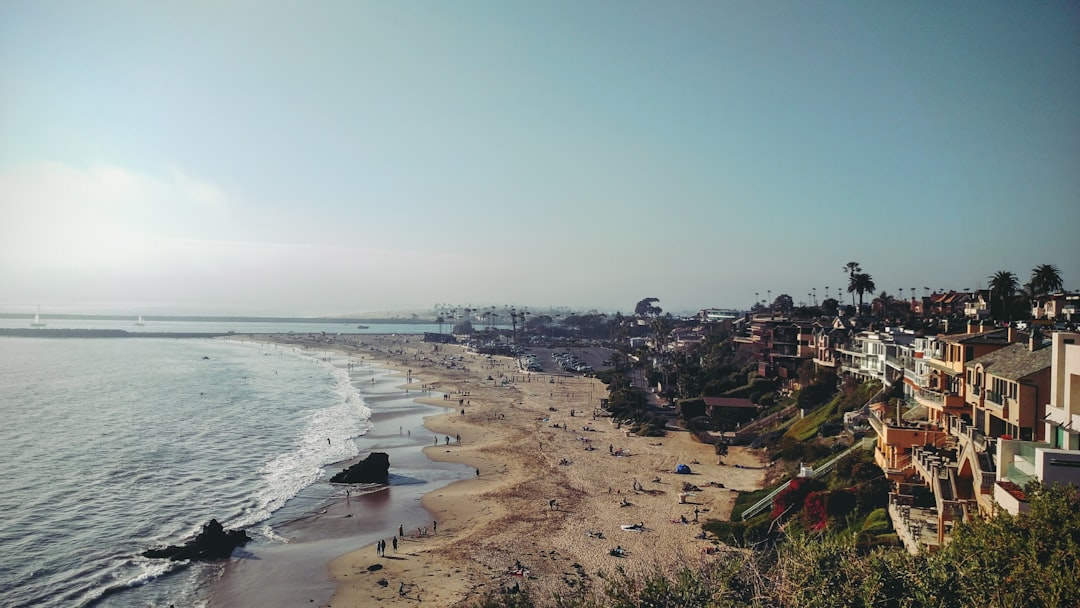 people on beach during daytime