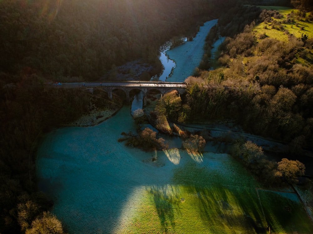 aerial view of lake surrounded by trees during daytime