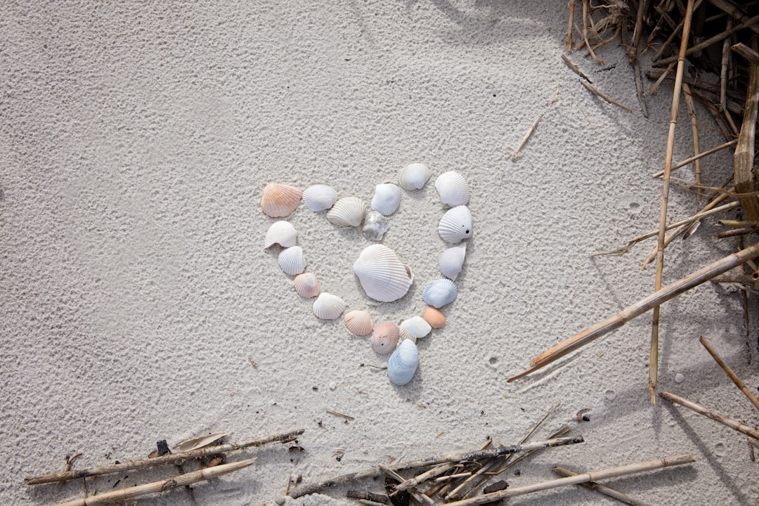 white and brown stone on gray sand