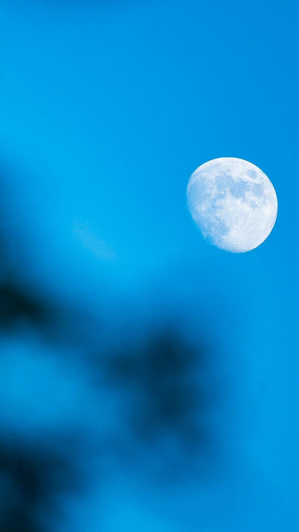 white moon in blue sky