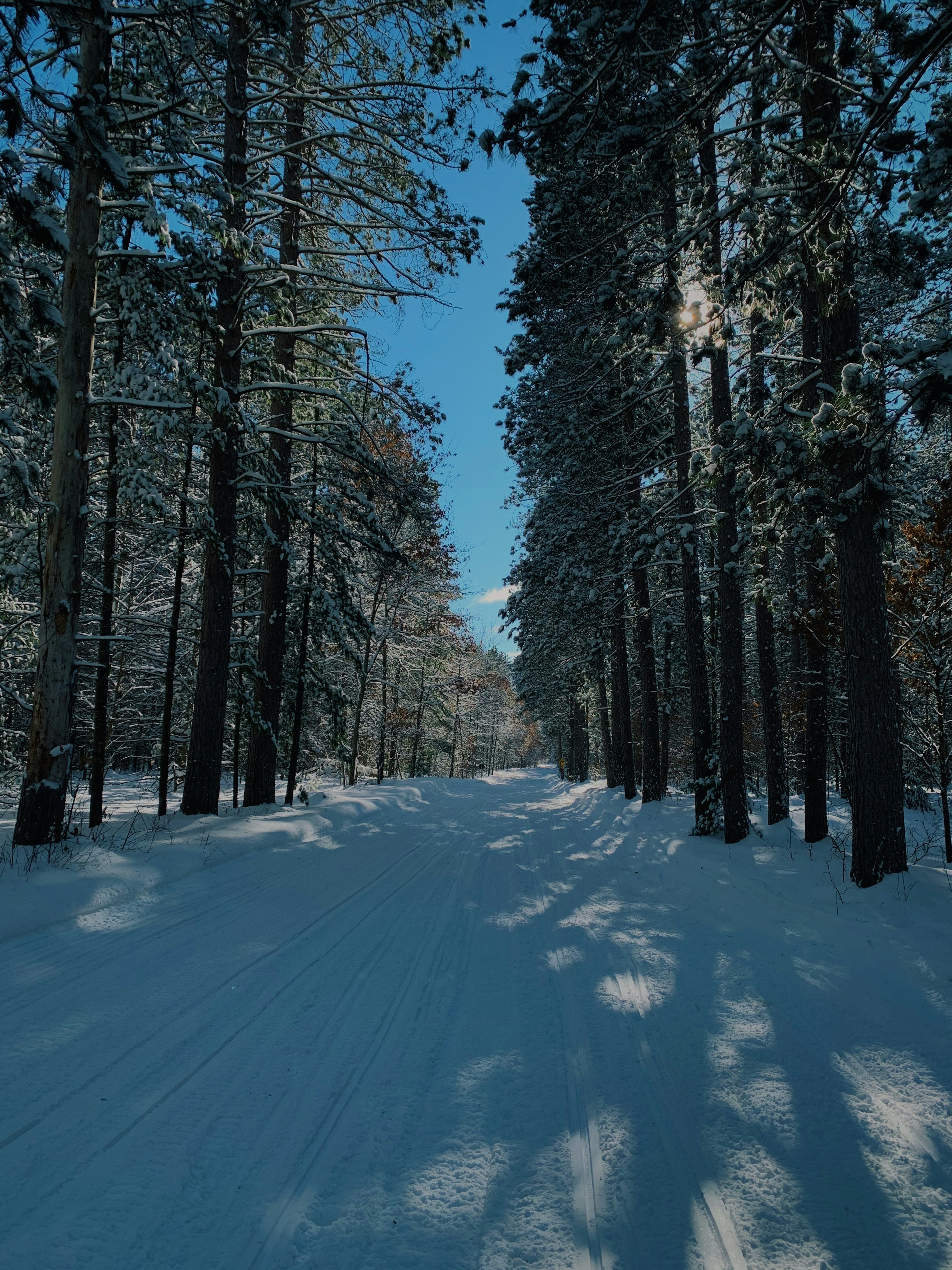 Photo by meganrandalll