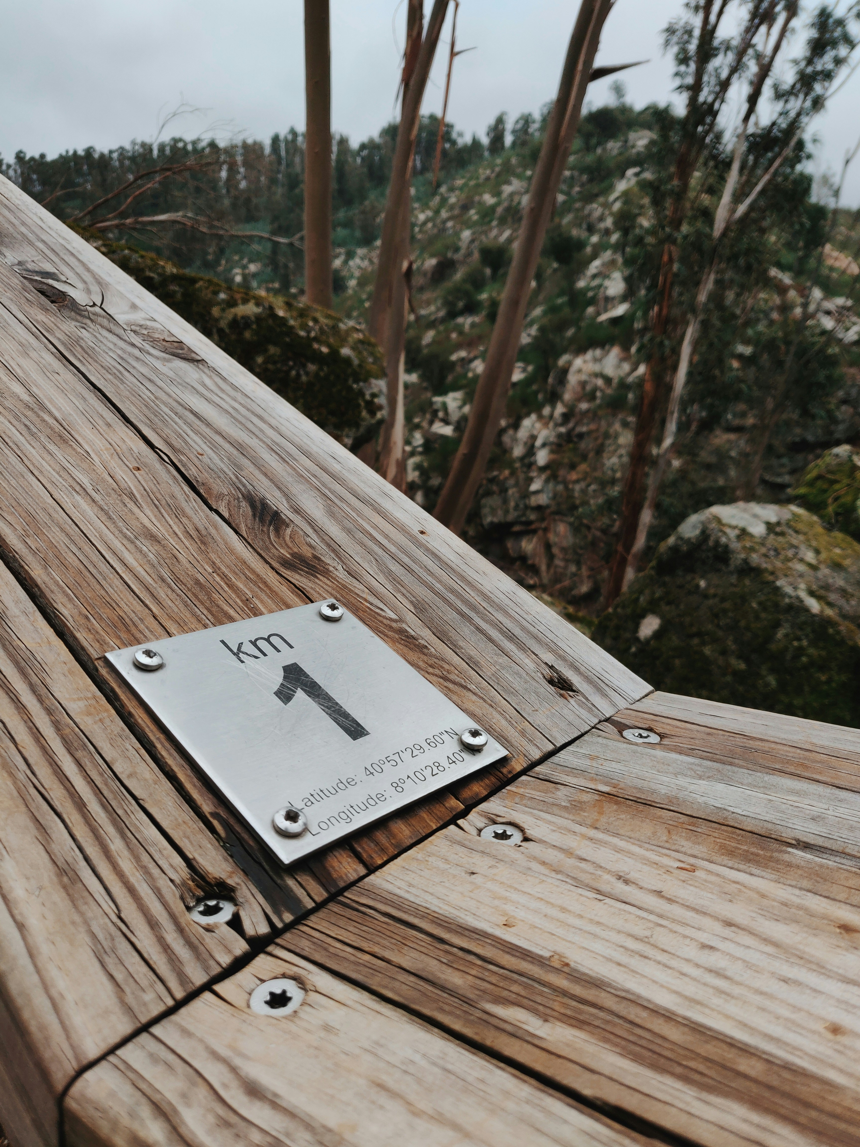 white and black kanji text on brown wooden plank