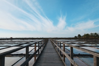 brown wooden dock on sea under blue sky during daytime