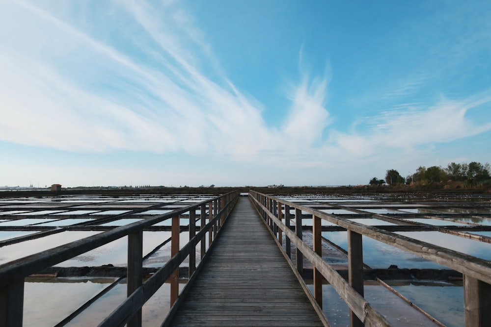 Braunes Holzdock auf dem Meer unter blauem Himmel während des Tages