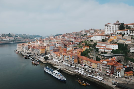 white and blue boat on water near city buildings during daytime in Garden of Morro Portugal