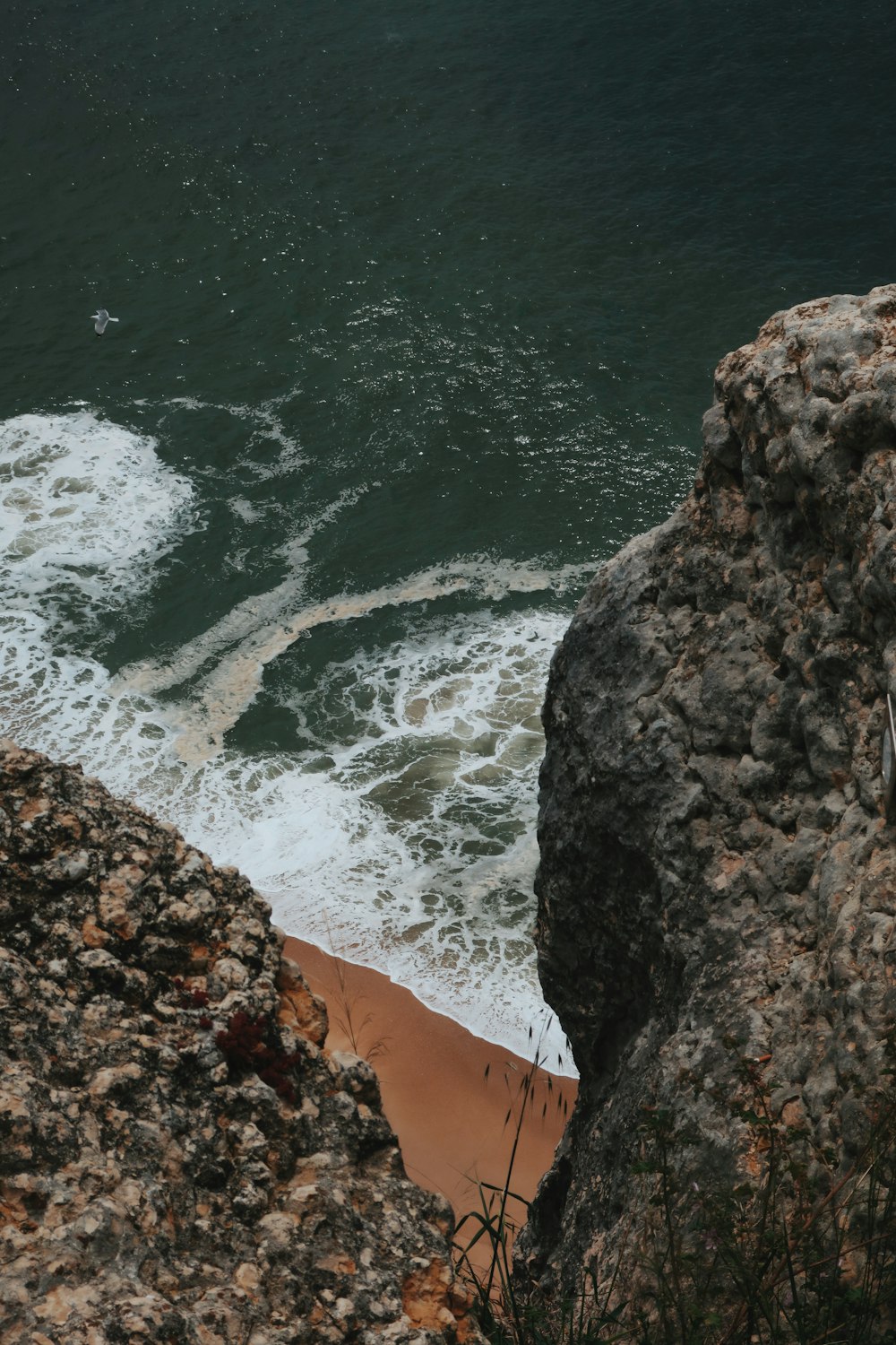 person in black shorts standing on brown rock near body of water during daytime