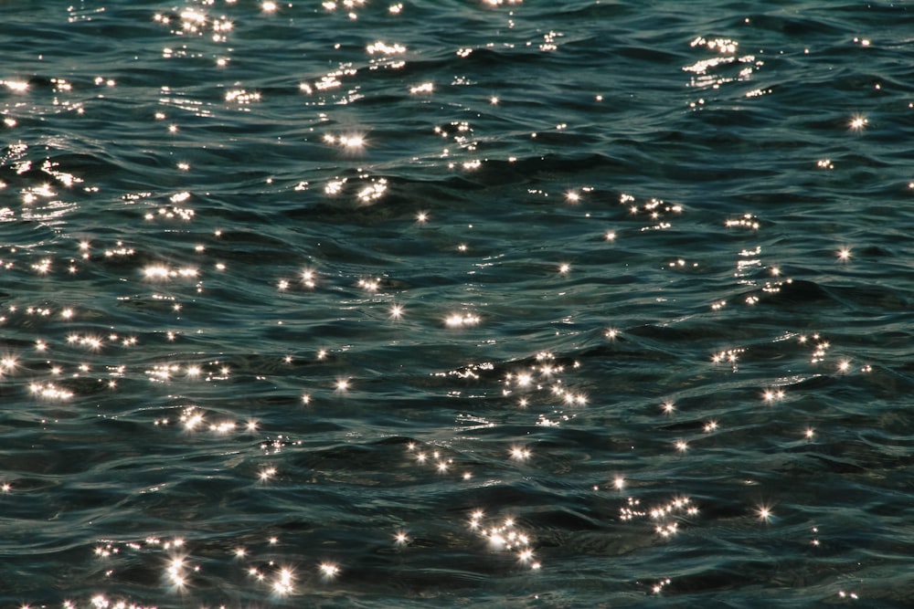 a bird is sitting on the edge of a body of water