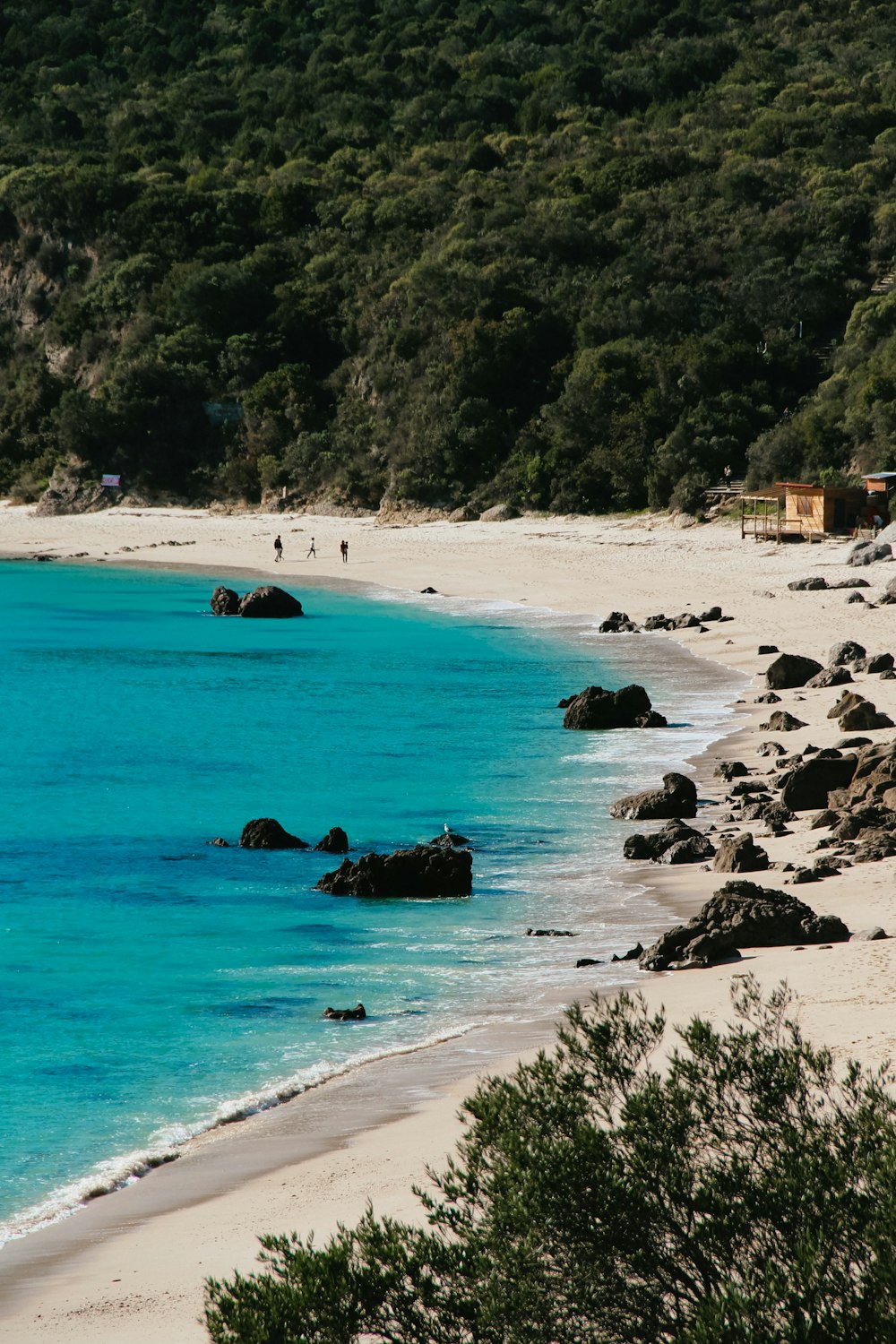 a sandy beach with blue water surrounded by trees