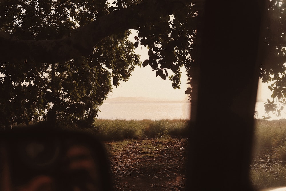 a view of a body of water through a car window