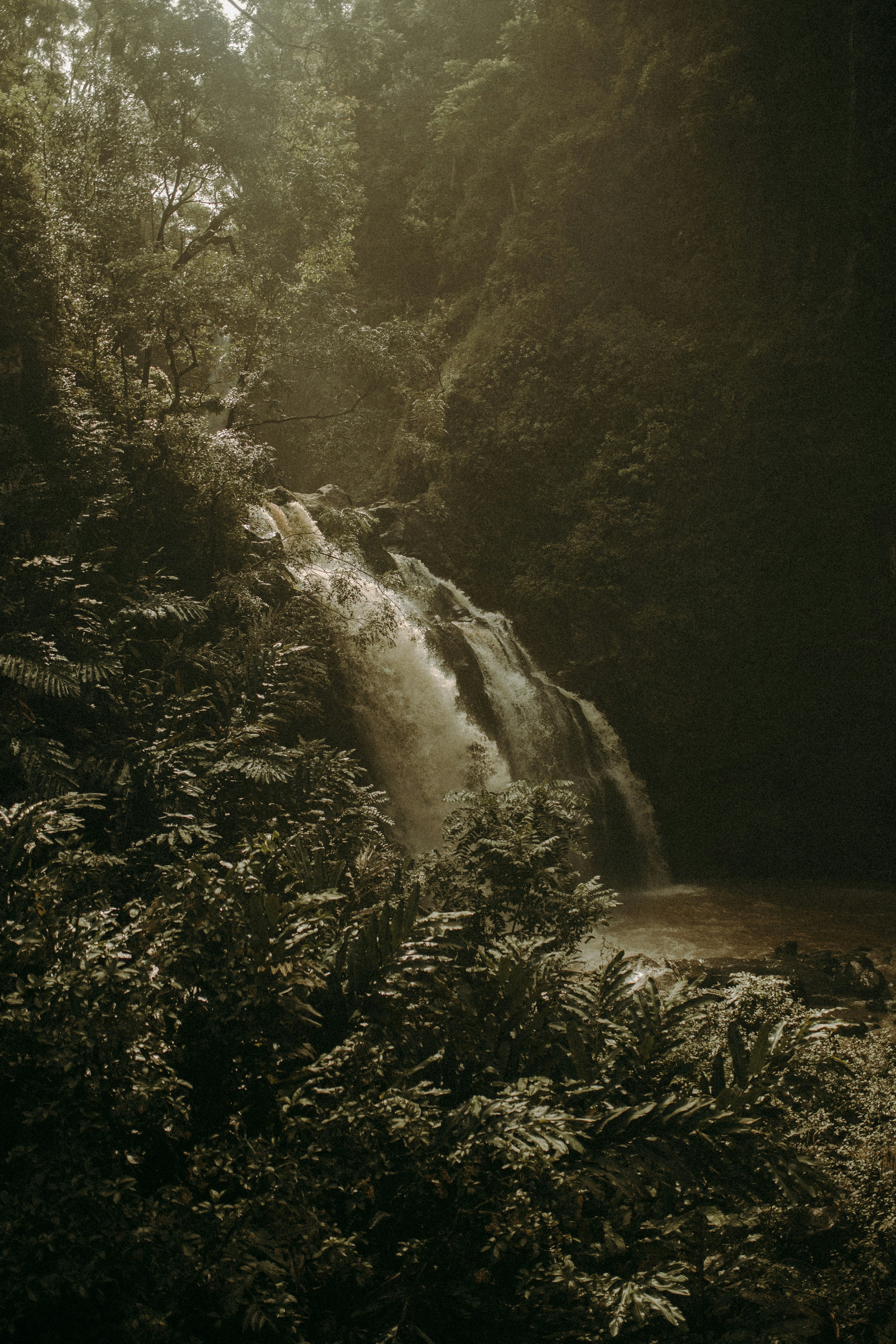 Photo by dylanbrown_