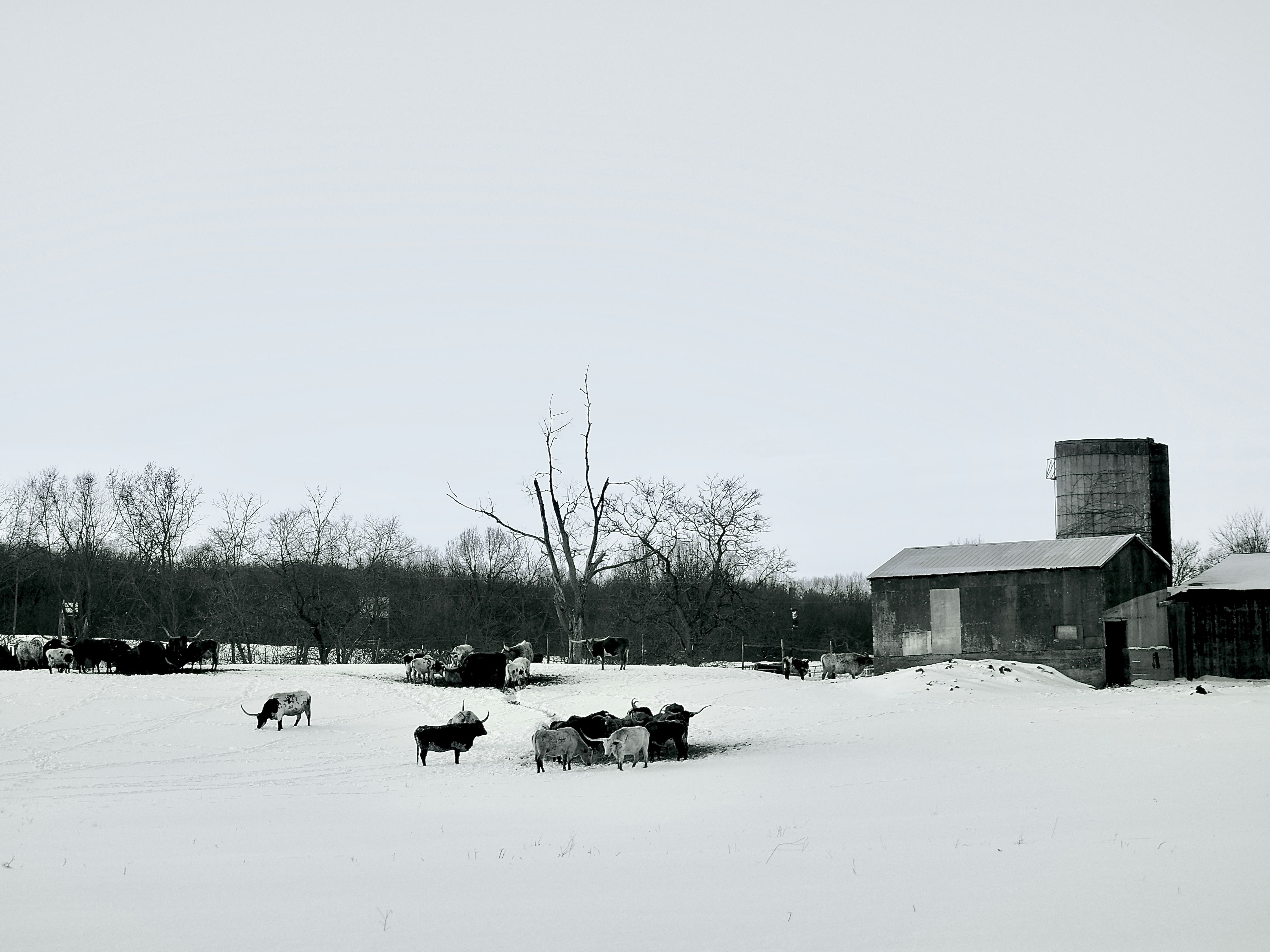 Hunderfossen Winter Park