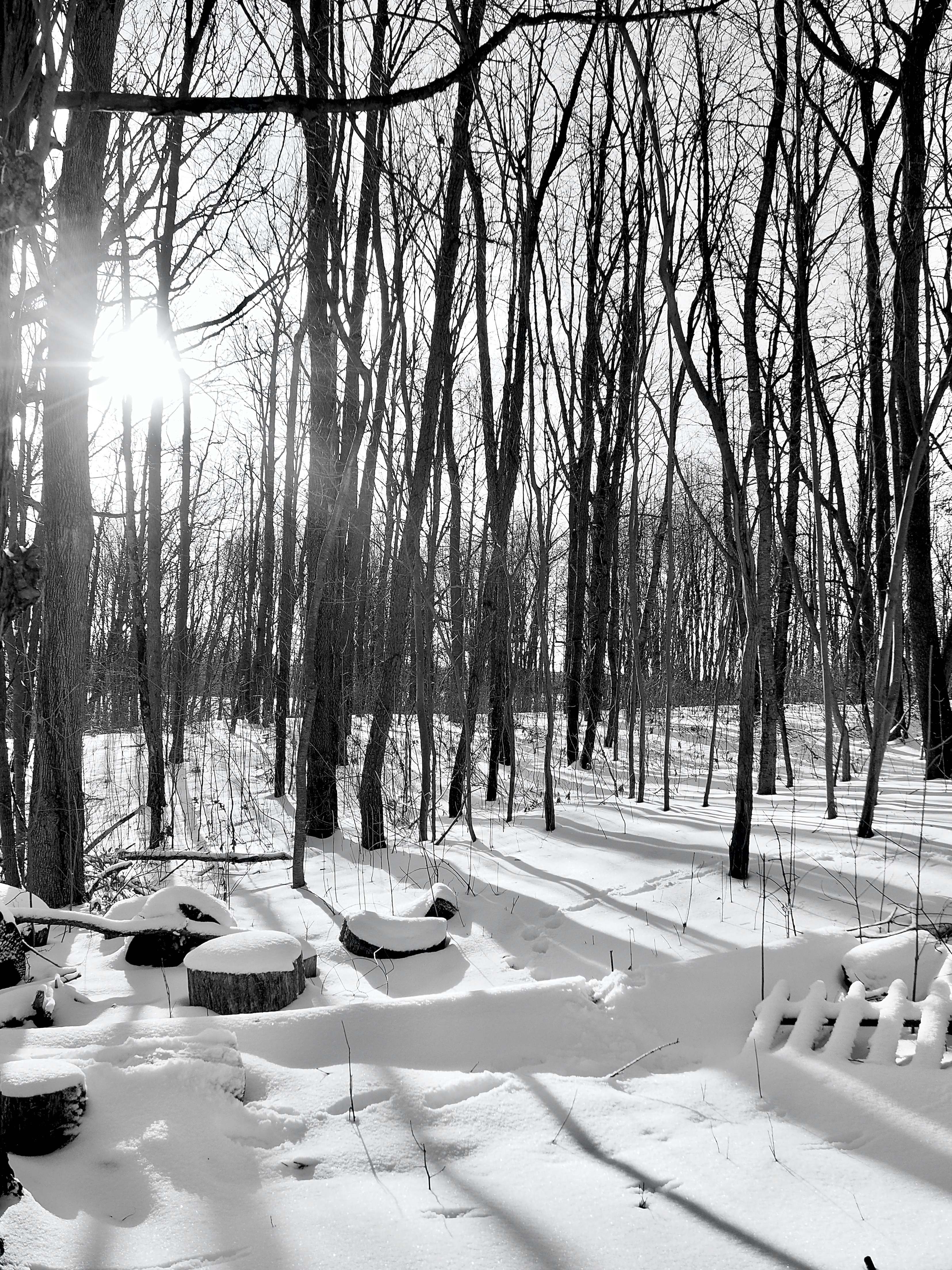 Photo by ohlmanphotography