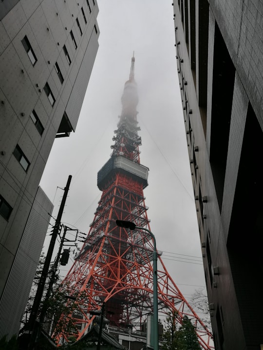 red and white tower in the city in Shiba Park Japan