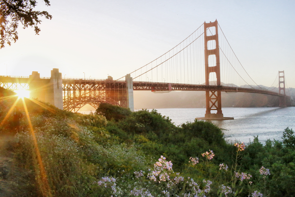 the golden gate bridge in san francisco, california