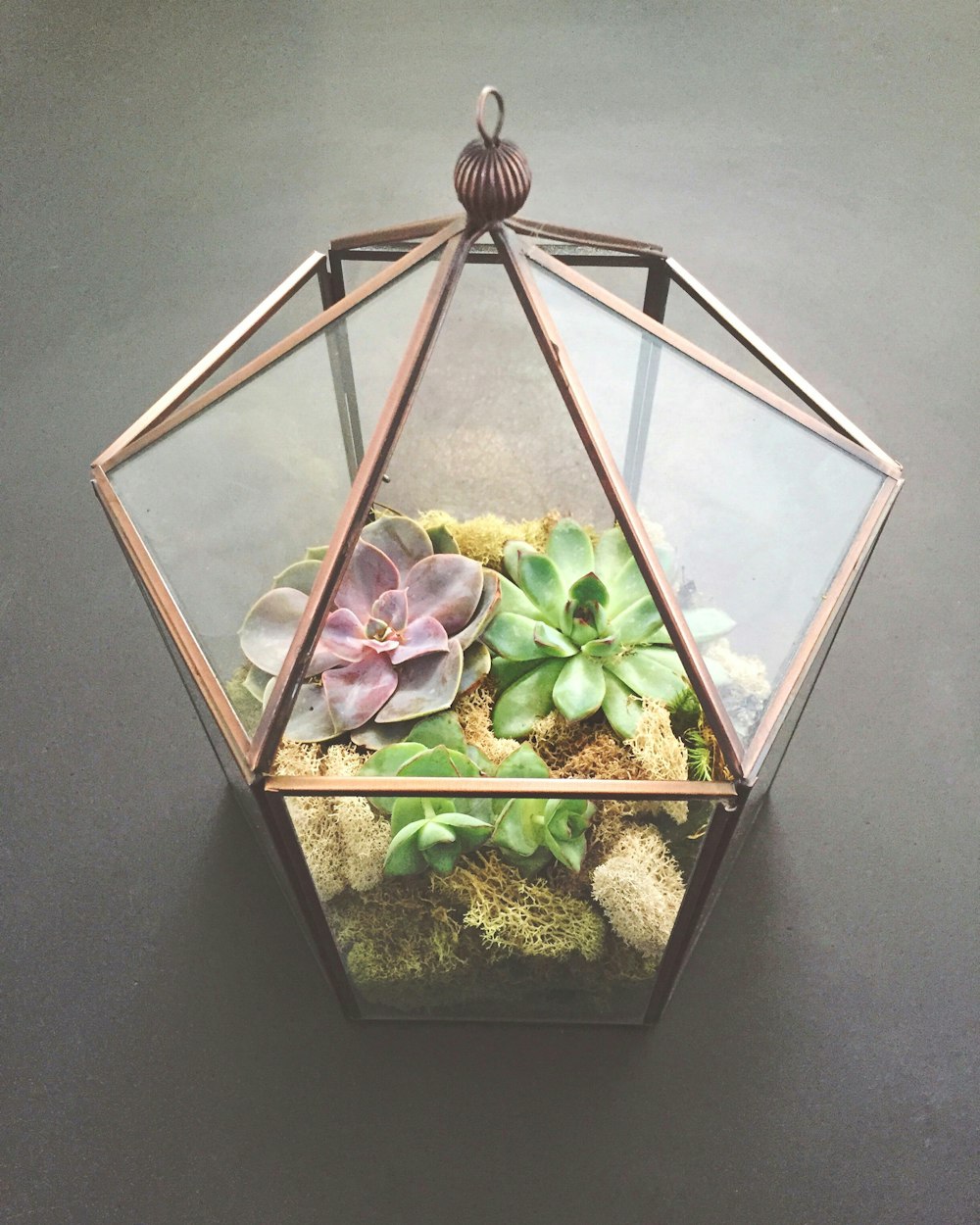 a glass vase filled with plants on top of a table